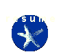 resume